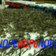 (All images Havana Police)